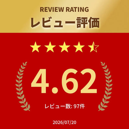 ★楽天10冠★ 水切りボウル ステンレス ザルボウル 米とぎ ボウル 水切りざる 水切りボウル 米研ぎボウル 穴あきボ 6